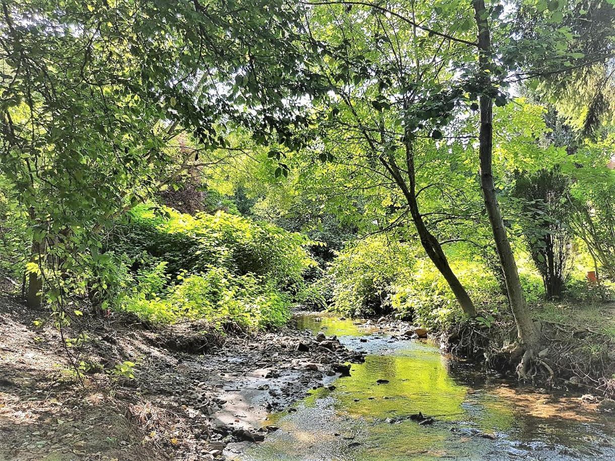 Muskatli Vendeghaz Vandrarhem Parád Exteriör bild